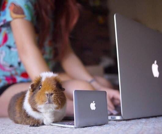 Original image: https://hubspot.cradle.io/hubfs/Imported_Blog_Media/0*tMv8W0fHTPwx9ODd.jpg